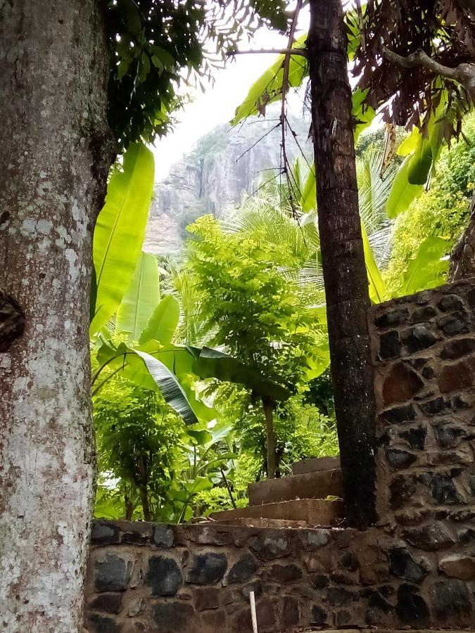 Forest Rawana Homestay אלה מראה חיצוני תמונה